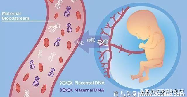 唐筛到底要不要做？一文告诉你答案，孕妈不必再纠结