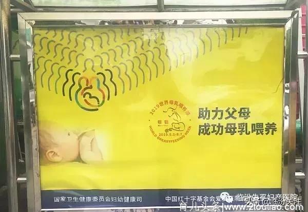 2019世界母乳喂养周：“助力父母 成功母乳喂养”