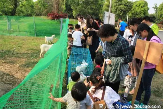 最佳的亲子度假体验（记亲子派对）