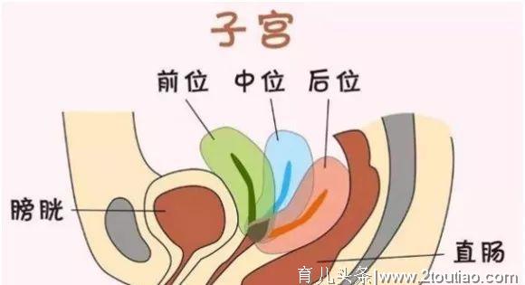 林依晨宣布停工备孕，怎么成为一击即中的易孕体质？