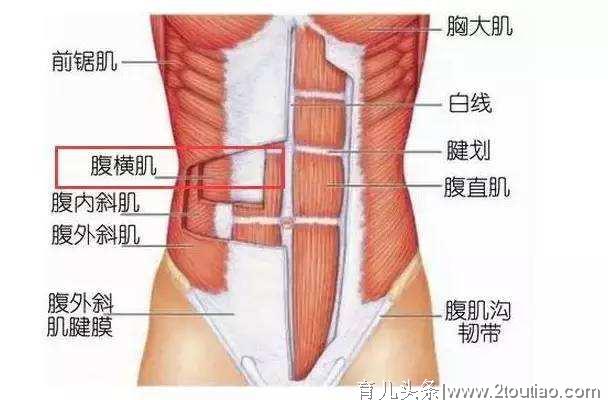 产后腰背痛、妈妈手、耻骨痛，关爱新妈妈从产后如何修复身体开始