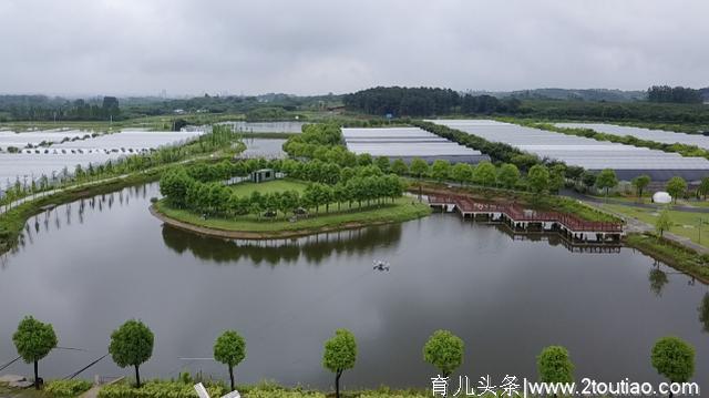 稻田捉泥鳅、亲手磨豆浆…来江苏金坛，每天都有不一样的亲子活动