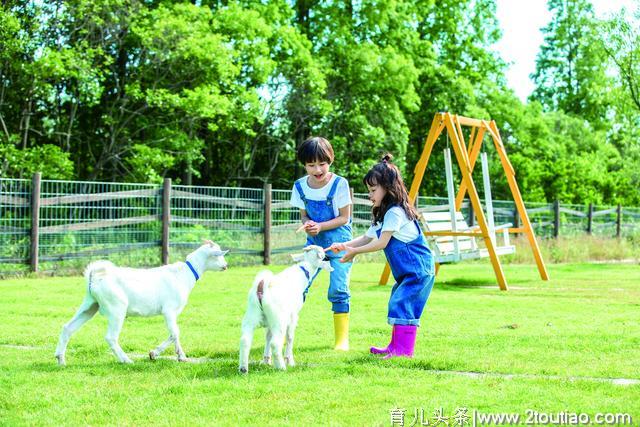 引发幼儿深度探究的环境才是好环境——访北京师范大学教育学部教授霍力岩