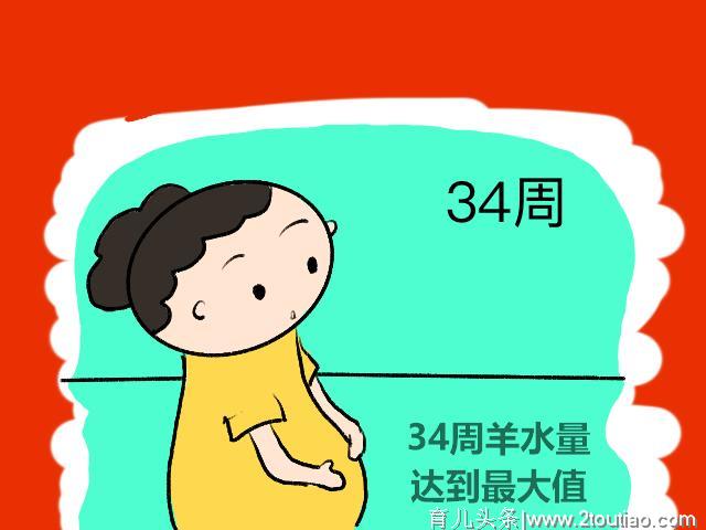 羊水是什么”水“？它在孕期扮演什么作用呢？它对胎儿也很重要