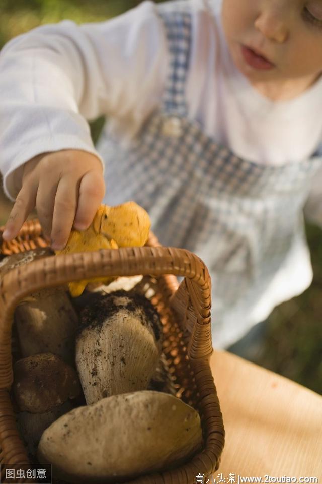 2019年山东省济宁市市直机关幼儿园幼儿教师招聘编制考试历年真题