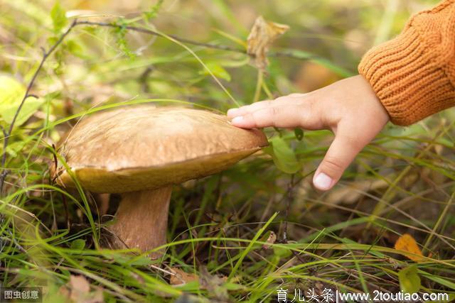 2019年山东省济宁市市直机关幼儿园幼儿教师招聘编制考试历年真题