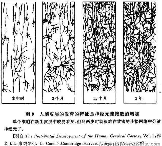 早教为什么越早越好？