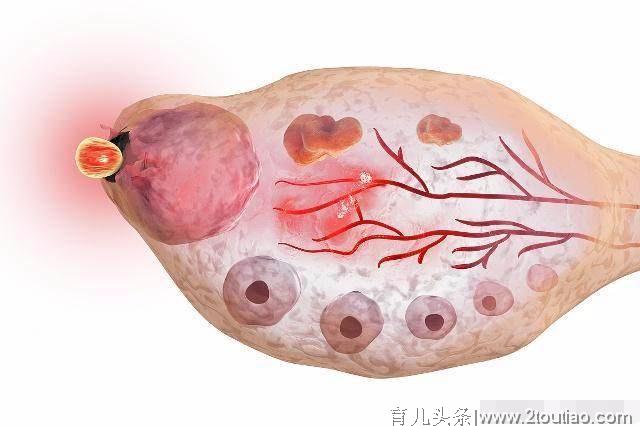 一般备孕几个月能怀上？备孕6个月没怀上的，试试这3个“攻略”！