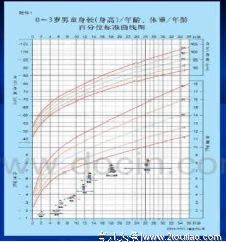 家长必备：最详细的儿童生长发育解析，让你正确了解宝宝发育规律