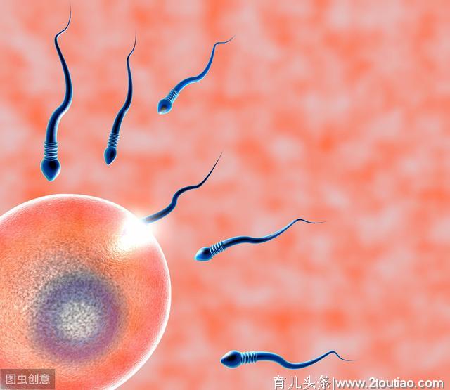 如何避免宫外孕？你需要知道这6个诱发因素、3大典型症状