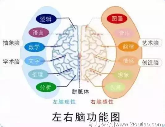 0-6岁孩子的智力开发关键在右脑？这些游戏让娃的右脑活起来