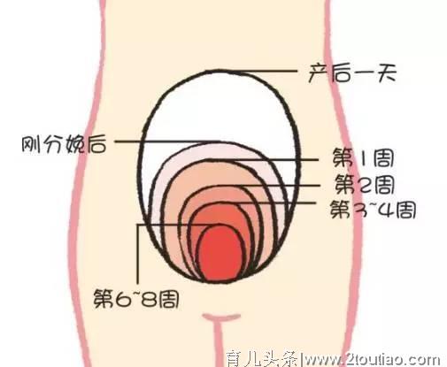 思睿兔—产后康复五大指标