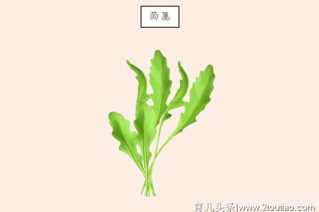 这些“健康”蔬菜可以常给孩子吃，有益肠胃，更能促进孩子发育