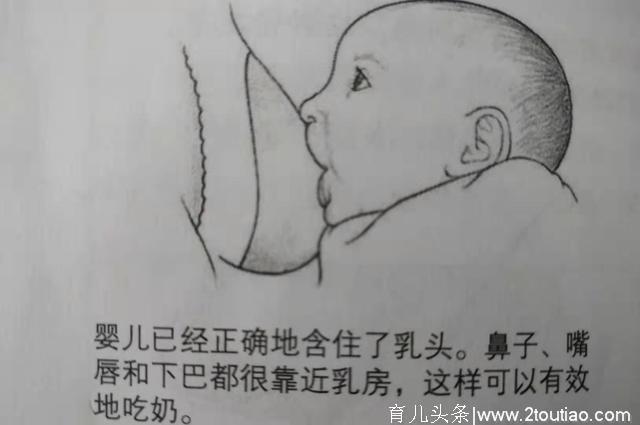 第一次母乳，新手妈妈没经验痛得哇哇大叫，母乳喂养指南请收下