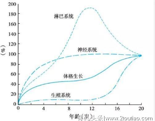 少儿体能丨错过这个黄金期会怎样？影响孩子一辈子