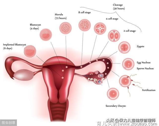 马伊琍离婚后美的脱胎换骨，秘诀：保养是女人善待自己最好的方式