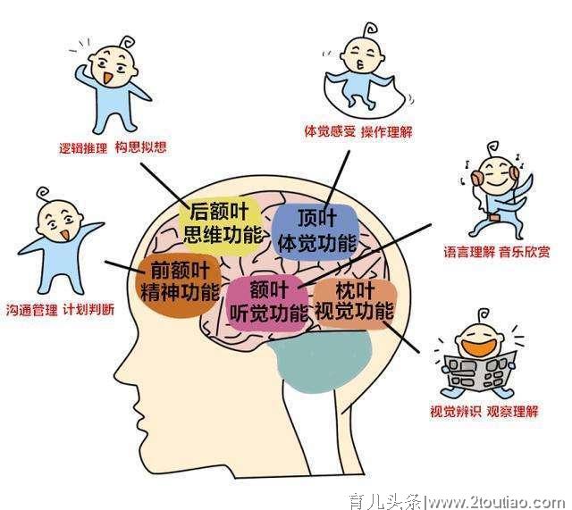 900名家长被早教机构骗200万：早教有必要吗？什么是真正的早教？