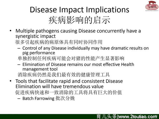 国外养猪参考；通过批次分娩来控制疾病（李曼）