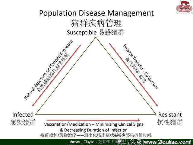 国外养猪参考；通过批次分娩来控制疾病（李曼）