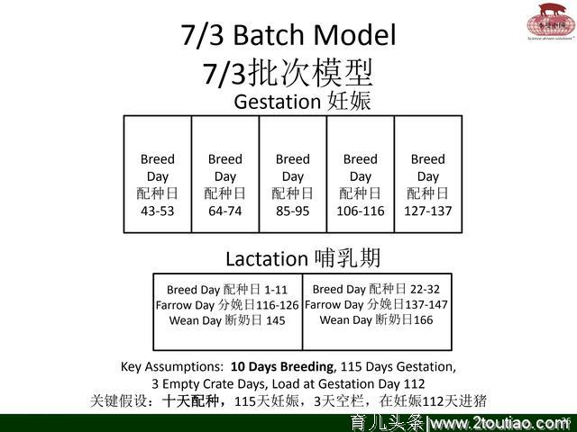 国外养猪参考；通过批次分娩来控制疾病（李曼）