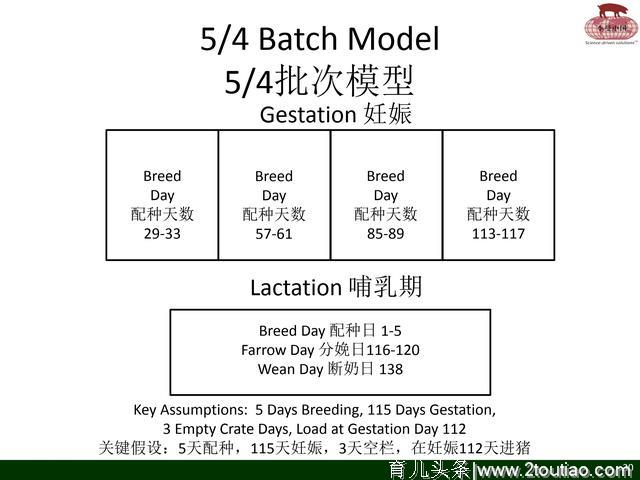 国外养猪参考；通过批次分娩来控制疾病（李曼）