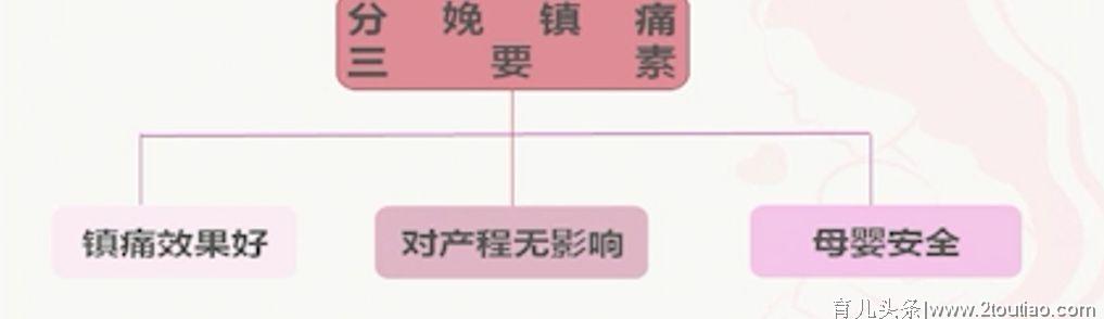 姜丽华教授：产痛的危害与分娩镇痛