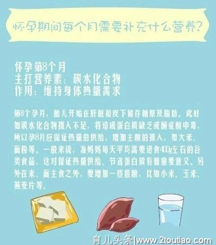 怀孕1-9个月，所需要的营养补充大全，准爸妈抓紧学起来吧！