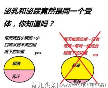 帮你找出扼杀母乳的超级元凶，轻松做个智慧奶牛：文末附催乳食谱