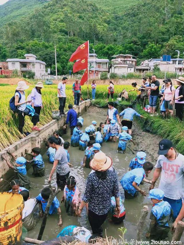 关爱儿童健康成长，大营街道团工委联合 县幼儿园到麦场开展秋收活动