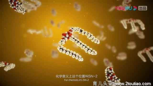 母乳喂养有没有必要？科学实验告诉你真相