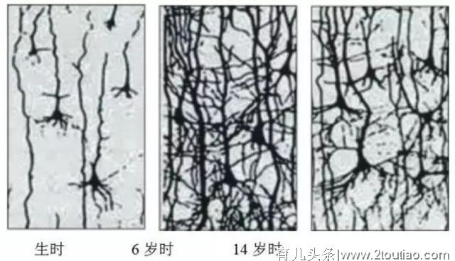 宝宝上早教，是坑还是福？一篇文章教你“避雷”