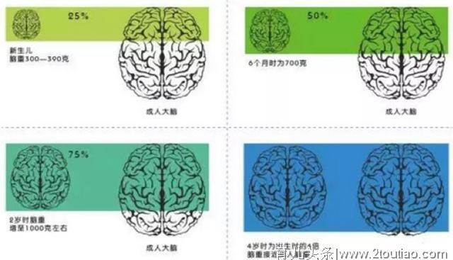 宝宝上早教，是坑还是福？一篇文章教你“避雷”