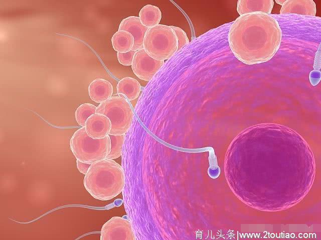 备孕时，想要快速怀孕，先看看这3个备孕条件，你能符合几个？