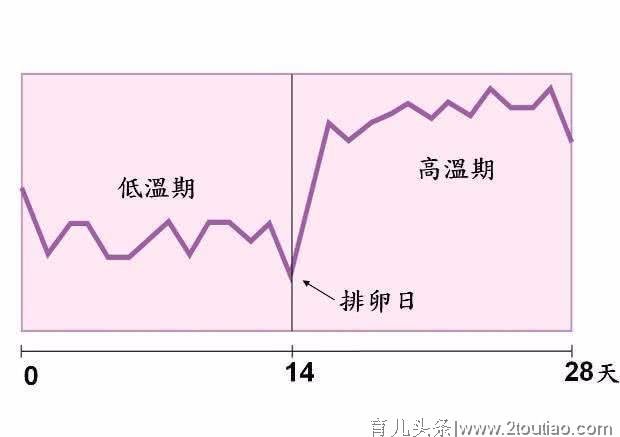 怀孕最快几天测出来？别傻等“停经”了，这3个信号更靠谱一些！