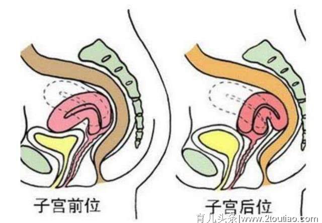 备孕前，女人不妨通过这3个标准，自测一下你的生育力！