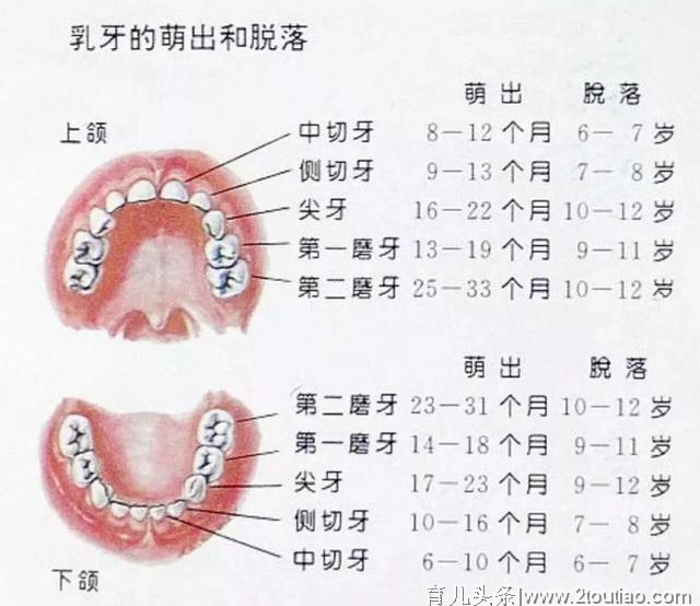 王子岛英语幼儿园孩子健康从“齿”开始