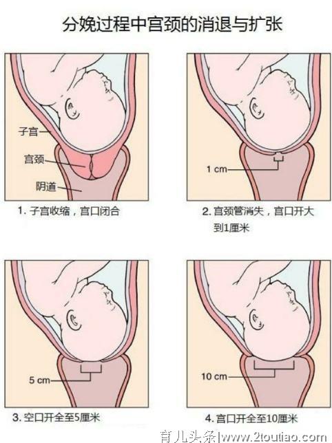 顺产开十指有多疼，6张图带你了解详情，生而为人要感恩