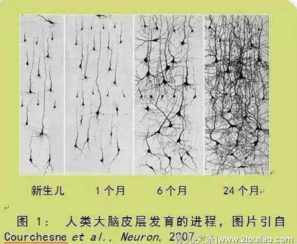 0到3岁孩子的任务究竟是什么？99%的家长中招早教三大迷信!