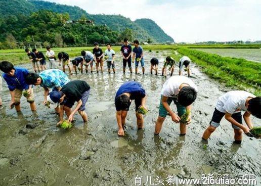 为什么日子越过越好，孩子的体质却越来越差？