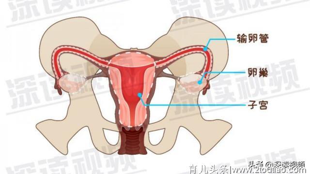 宫外孕是怎么回事儿？