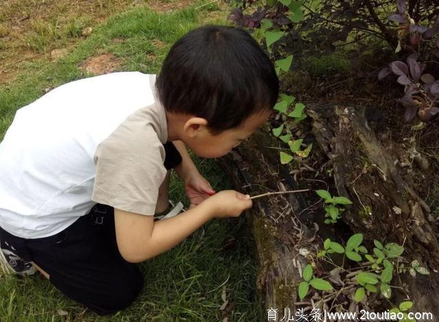 孩子没有好奇心，学习没动力，3个办法教你激发孩子好奇心