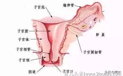 产后恢复6大指标揭秘，宝妈都合格了吗？