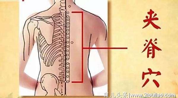 小儿常见病专题系列：小孩脾胃虚如何调理（一）