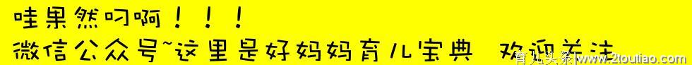 “启蒙教育”每个家长都要知道的