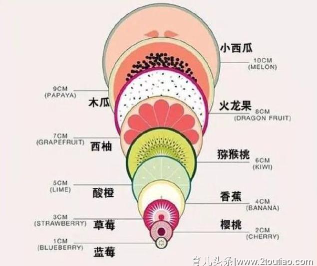 顺产开十指有多大？一张“水果图”图完美解释，妈妈太不容易了