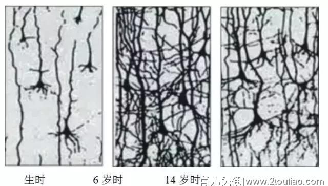 早教到底有没有必要？早教班种类花样那么多，老母亲该如何选择？