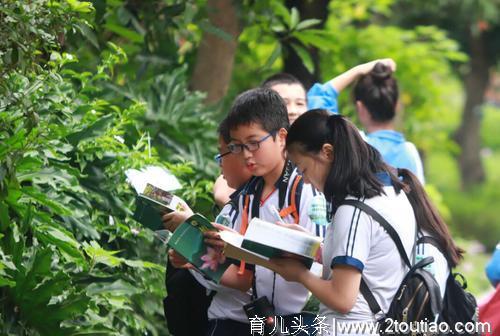 何必花大价钱去早教班？最好的启蒙教育是自然教育，在家就能实现