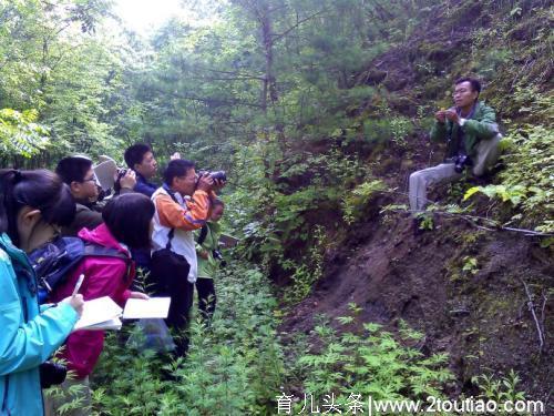 何必花大价钱去早教班？最好的启蒙教育是自然教育，在家就能实现