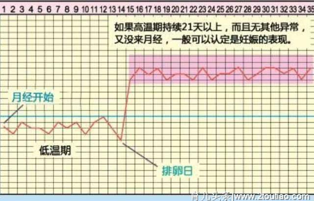 备孕时，为了找准“排卵日”，有这4个方法，后2个方法更靠谱！