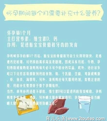 怀孕期间每个月需要补充什么营养